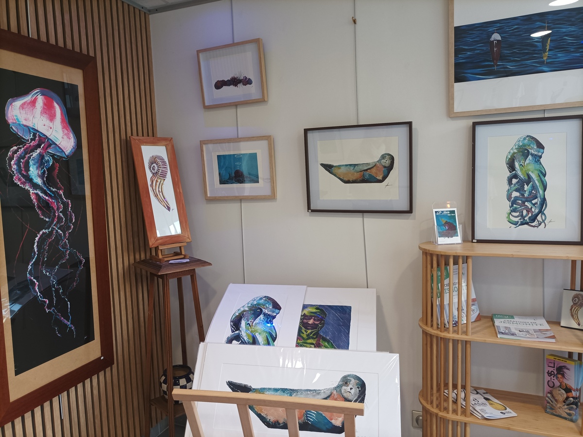 Kommontorios - Atelier d'illustration, Saint-Aubin-sur-Mer - photo 5