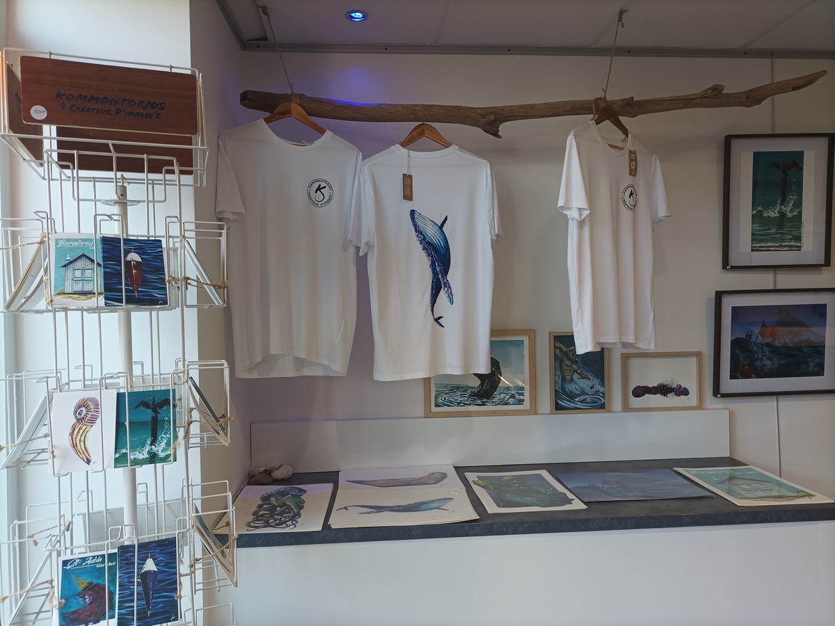 Kommontorios - Atelier d'illustration, Saint-Aubin-sur-Mer - photo 6