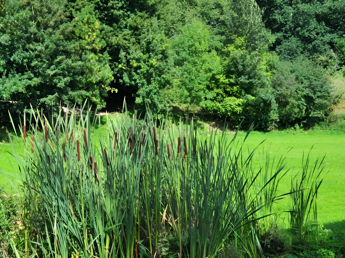 Parcours Permanent d'Orientation de Villers-Bocage, Villers-Bocage - photo 5