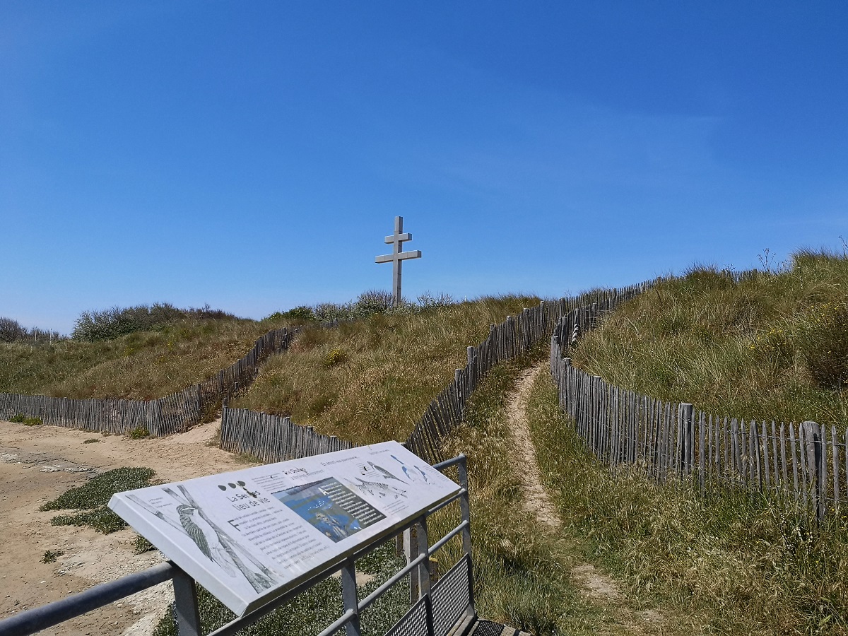Entre mer et dunes : réveil sensoriel et écologique, Courseulles-sur-Mer