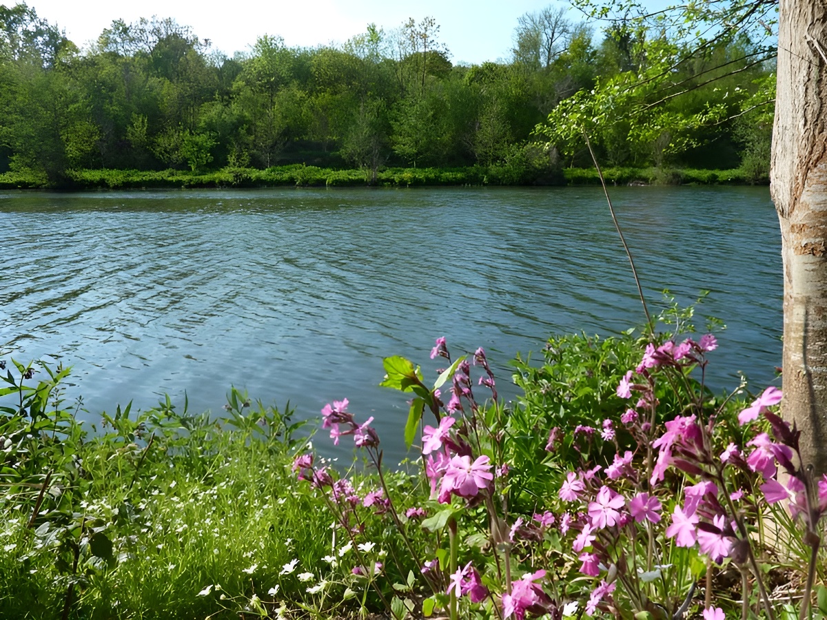 Les marais de l'Orne et de la Noë, Caen - photo 5