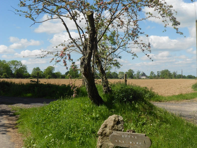 PREAUX-SAINT-SEBASTIEN  : La marche des charitons - 8,2 KM, Livarot-Pays-d'Auge - photo 2