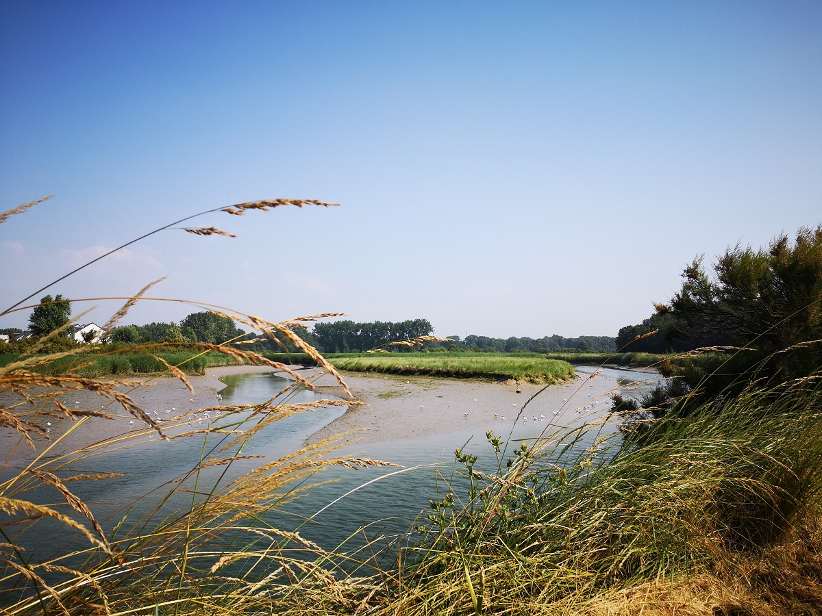 Entre mer et dunes : réveil sensoriel et écologique, Courseulles-sur-Mer - photo 2