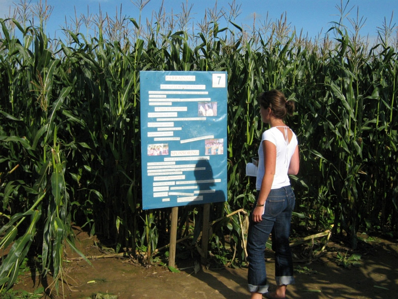 Labyrinthe végétal du Cotentin > La Clé des Champs, Yvetot-Bocage - photo 2
