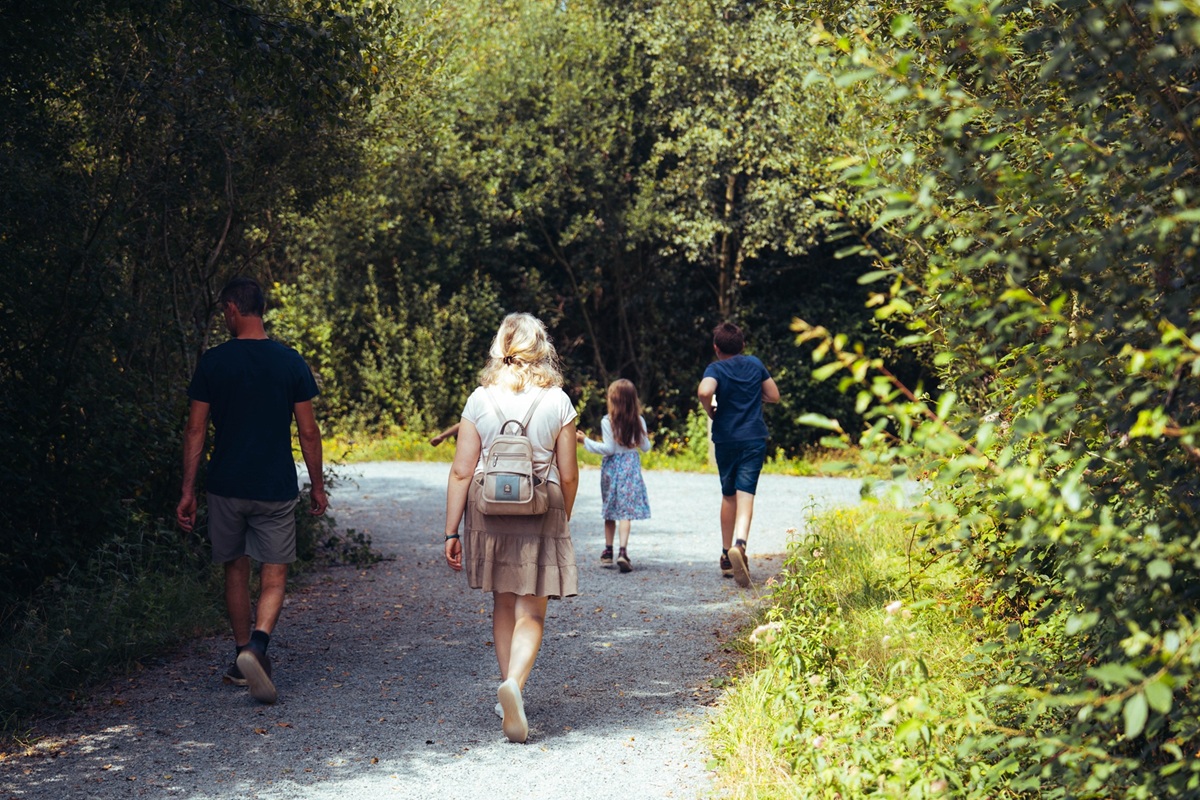 Les landes de Millières - Randonnée — photo 2