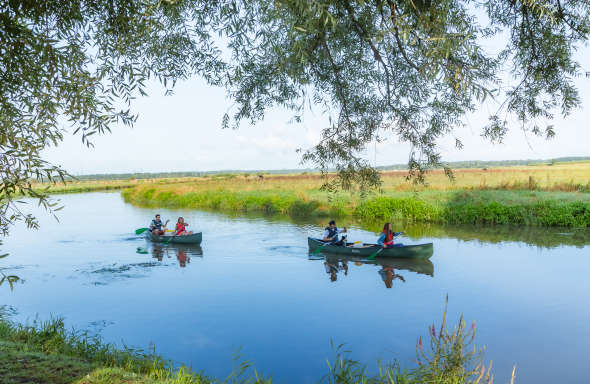 Echappée immersive : Balade bucolique en canoë