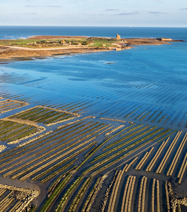 Les Jardins Ostréicoles de Tatihou