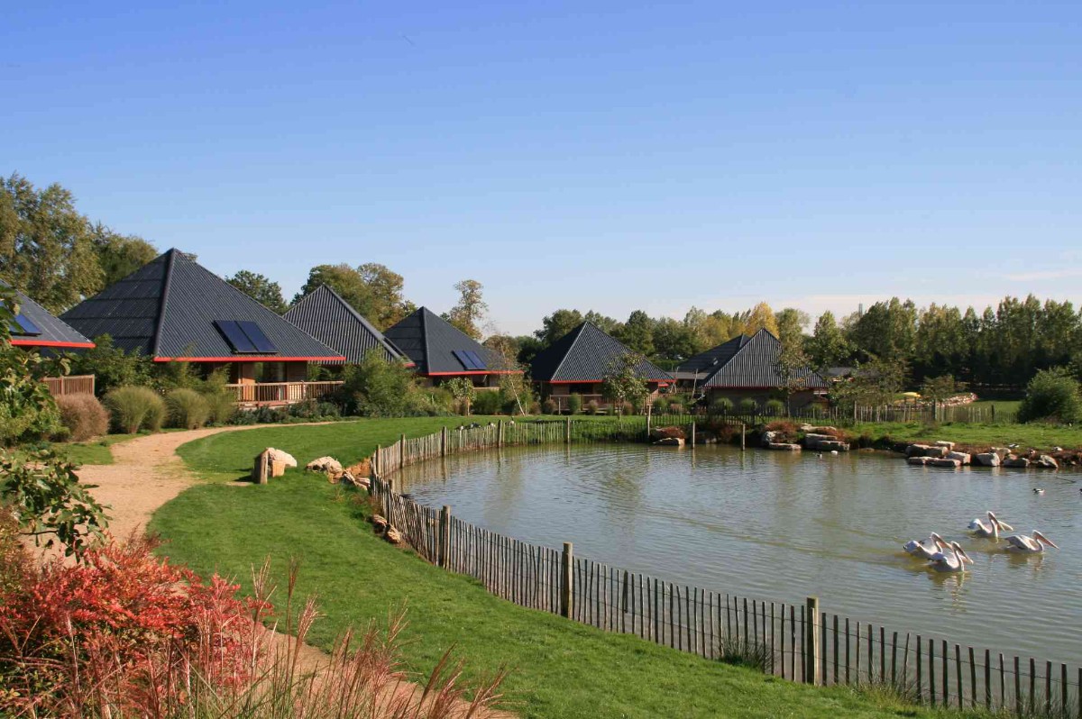 Cerza Safari Lodges