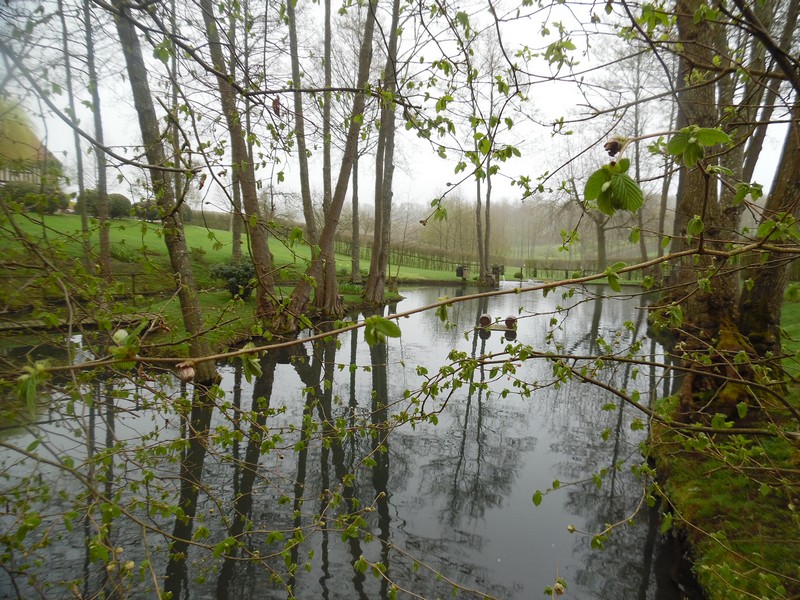 MONTVIETTE : La Canteraine - 7,4KM, Saint-Pierre-en-Auge - photo 4