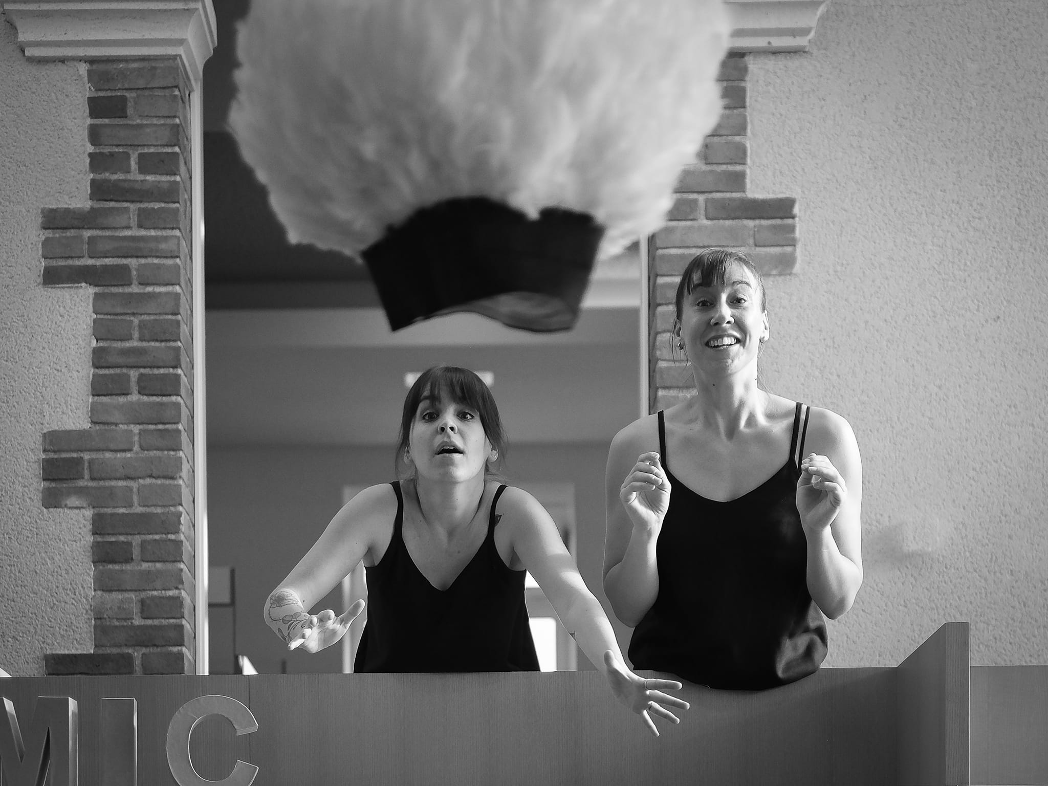 La Fable de l'Autruche - Les trois jours de Grestain