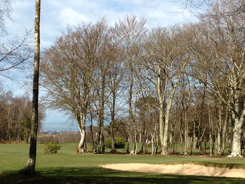 Golf de Cherbourg, Cherbourg-en-Cotentin - photo 12