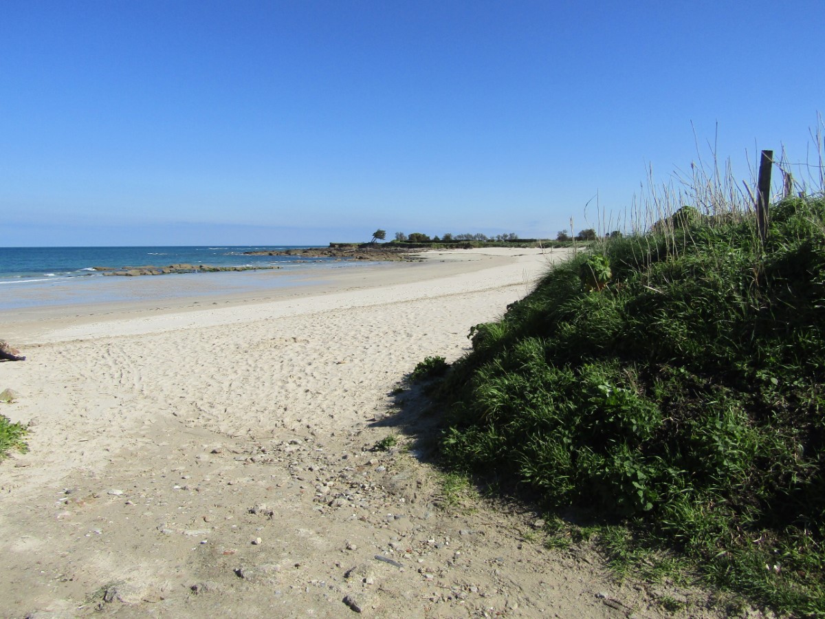 Plage de la Mare, Montfarville - photo 2