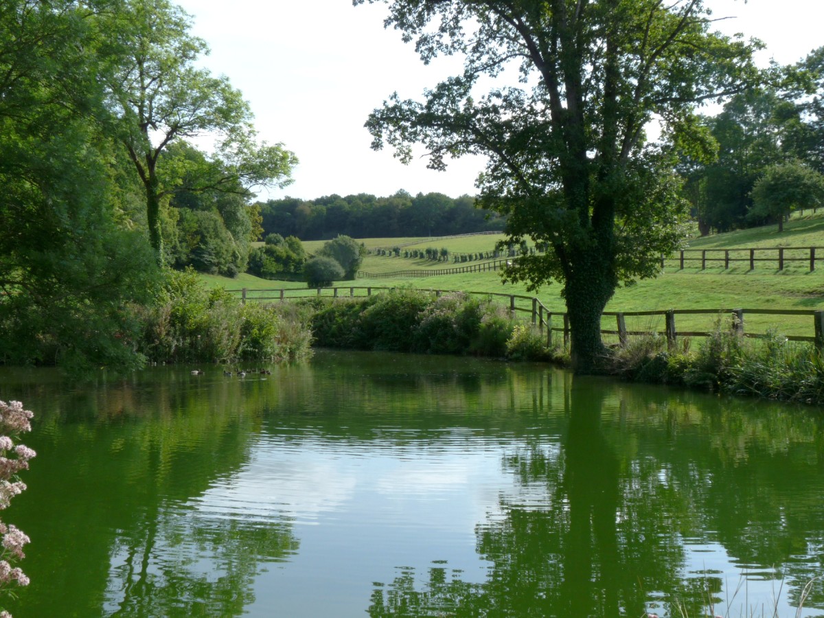 Le Haras de la Rousserie, Lessard-et-le-Chêne - photo 2