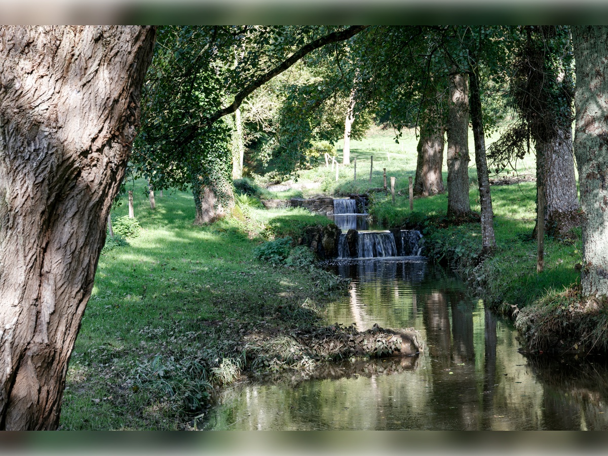 Colloque "Quelles sciences de la Terre à l'anthropocène ?"