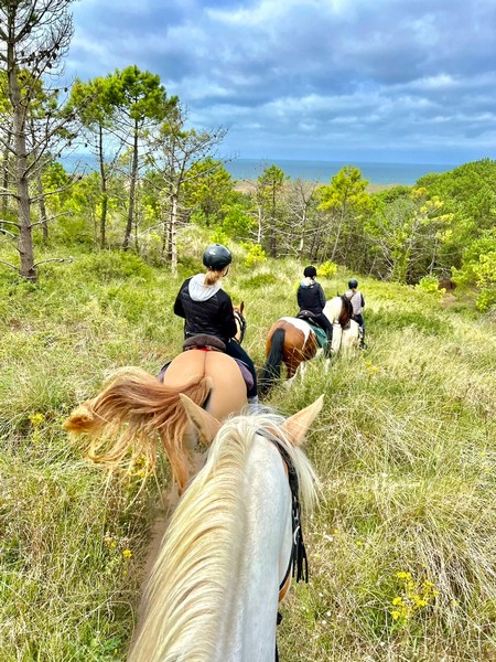 La Cavalerie de Montchaton