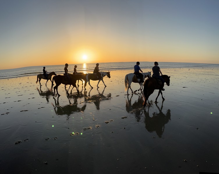 La Cavalerie de Montchaton, Orval sur Sienne - photo 3