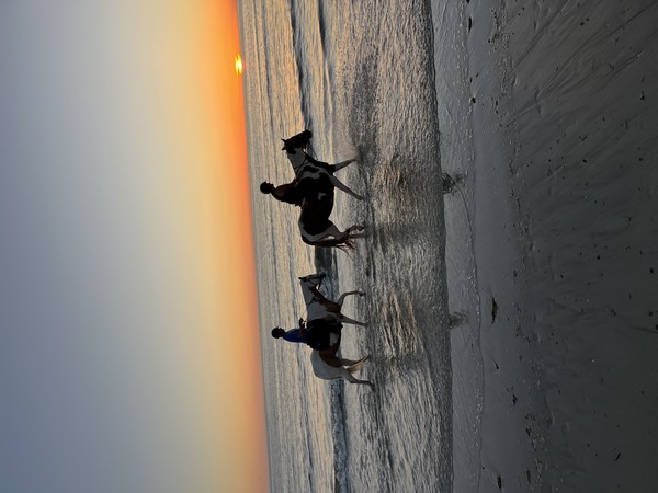 La Cavalerie de Montchaton, Orval sur Sienne - photo 2