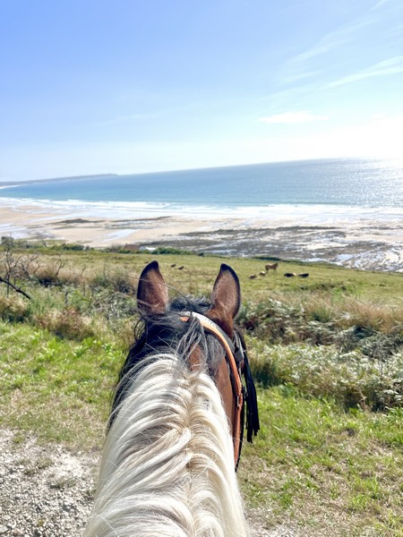La Cavalerie de Montchaton, Orval sur Sienne - photo 4