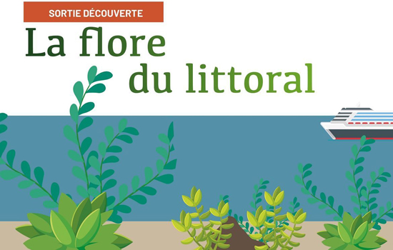 Sortie nature : La flore du littoral