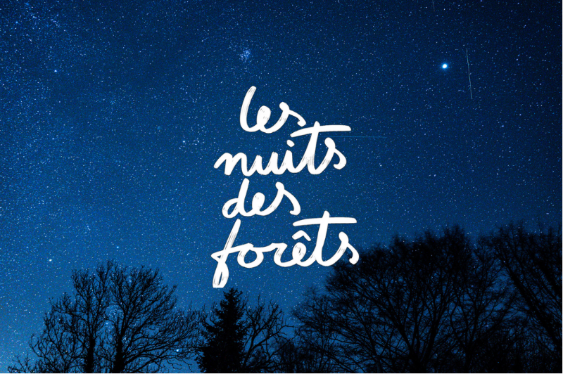 La Nuit des Forêts