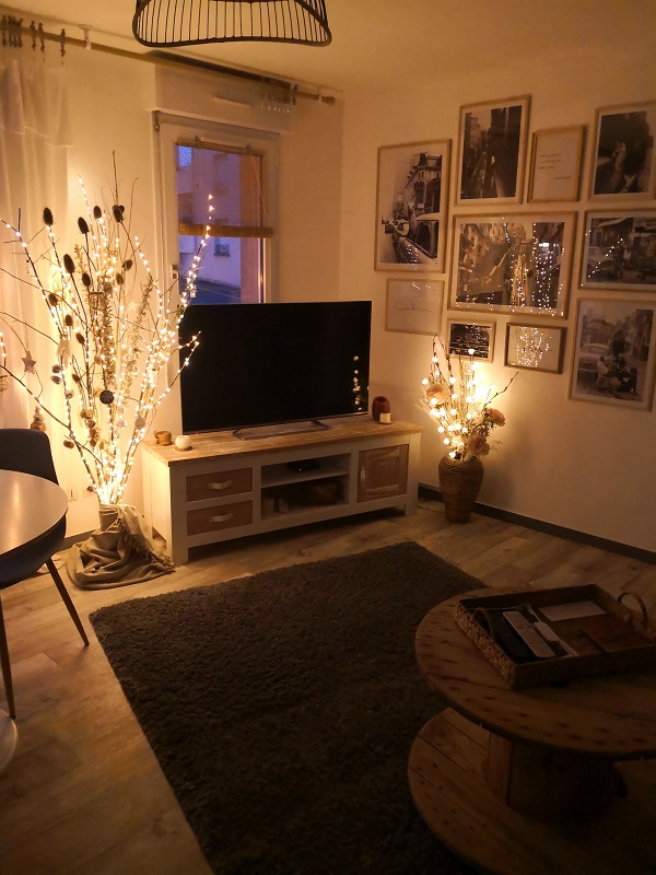Meublé de tourisme > Le Cocoon, Saint-Lô - photo 13