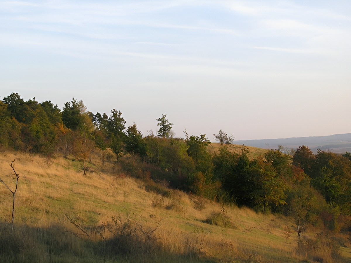 Les monts d'Eraines - Réserve Naturelle Nationale du Côteau de Mesnil-Soleil, Damblainville - photo 7