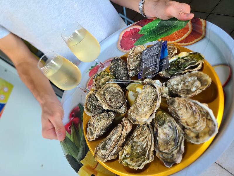 Le P'tit Baigneur, Donville-les-Bains - photo 5