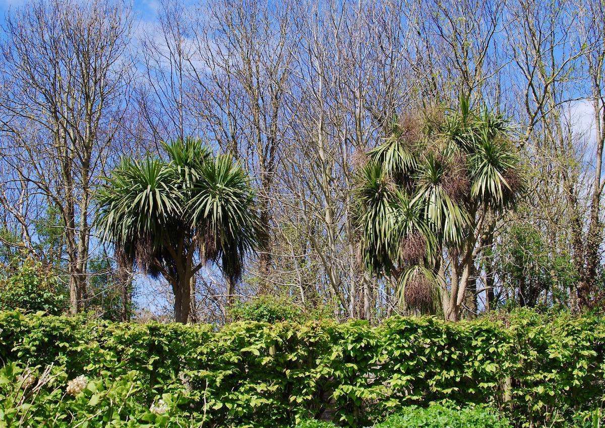 Meublé de tourisme > Gîte le Pressoir, Flamanville
