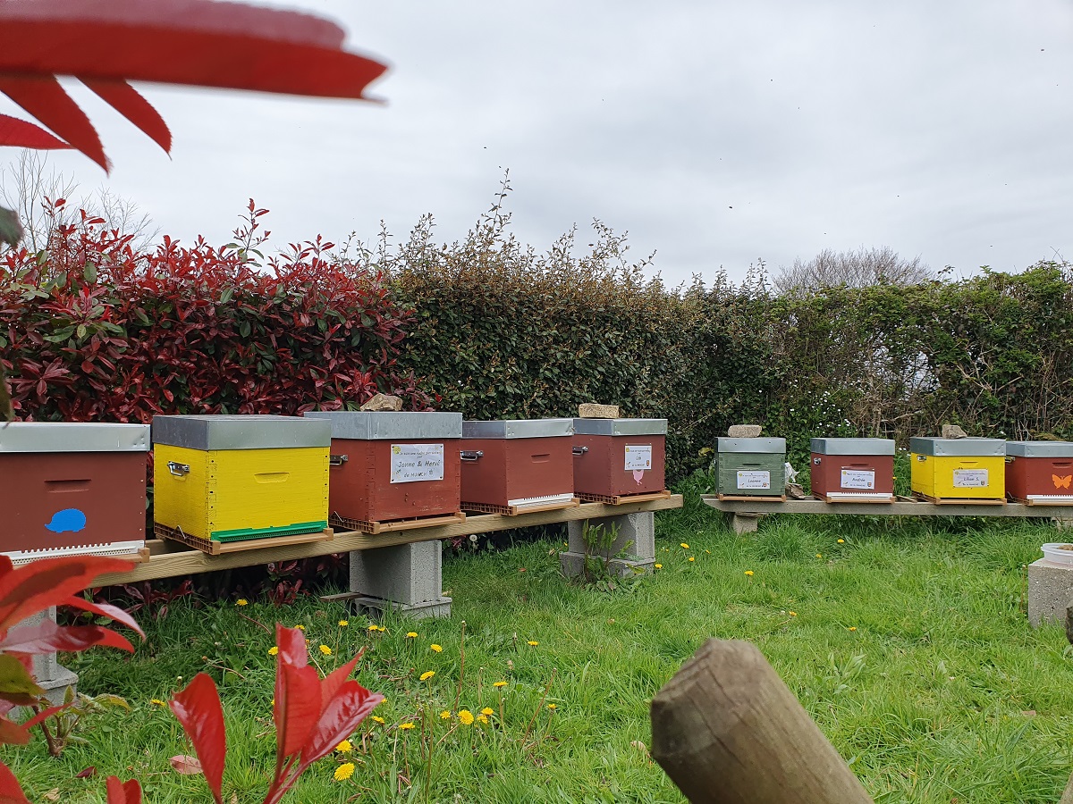 Rucher des Vieilles Maisons