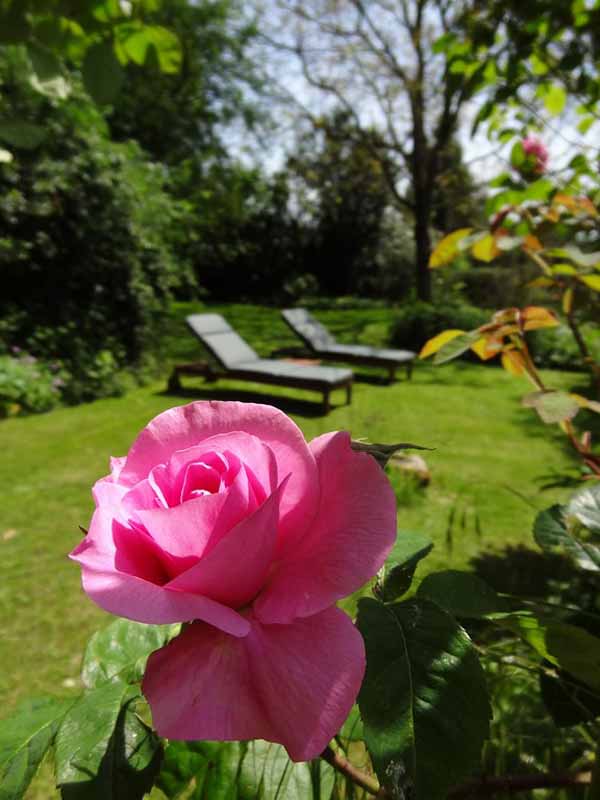 Meublé de tourisme > Le Cottage, Le Val-Saint-Père - photo 14