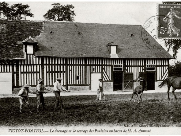 Le cheval en Normandie