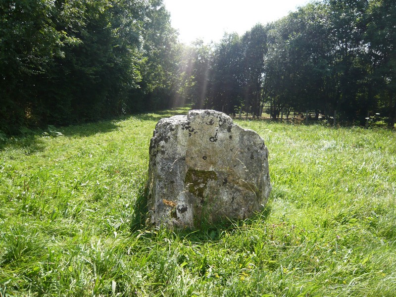 Le mont chauve, Souleuvre en Bocage - photo 4