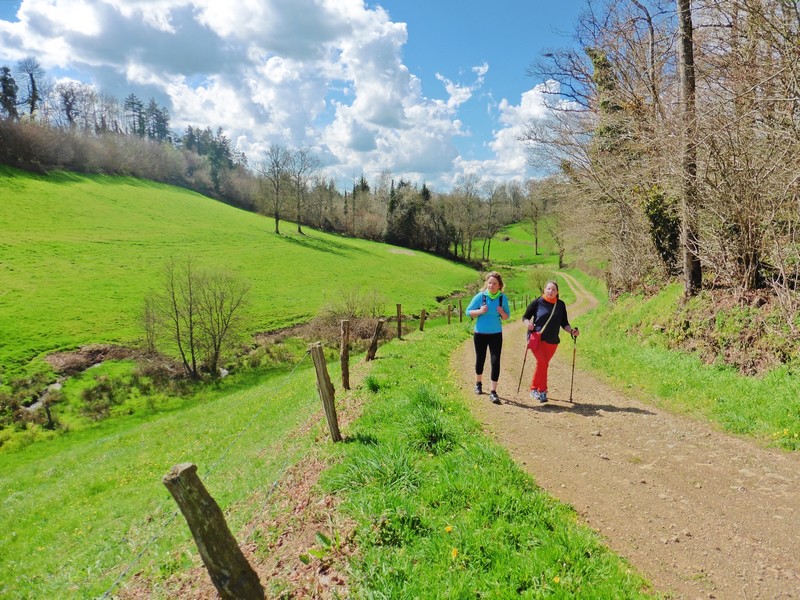 Le mont chauve, Souleuvre en Bocage - photo 2