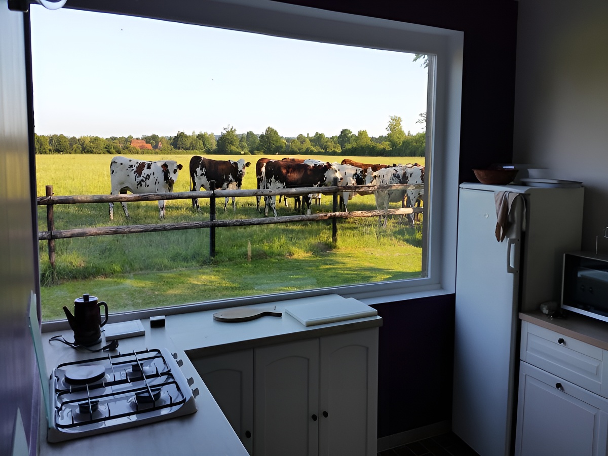 Le Pressoir de la Viette, Saint-Pierre-en-Auge - photo 8