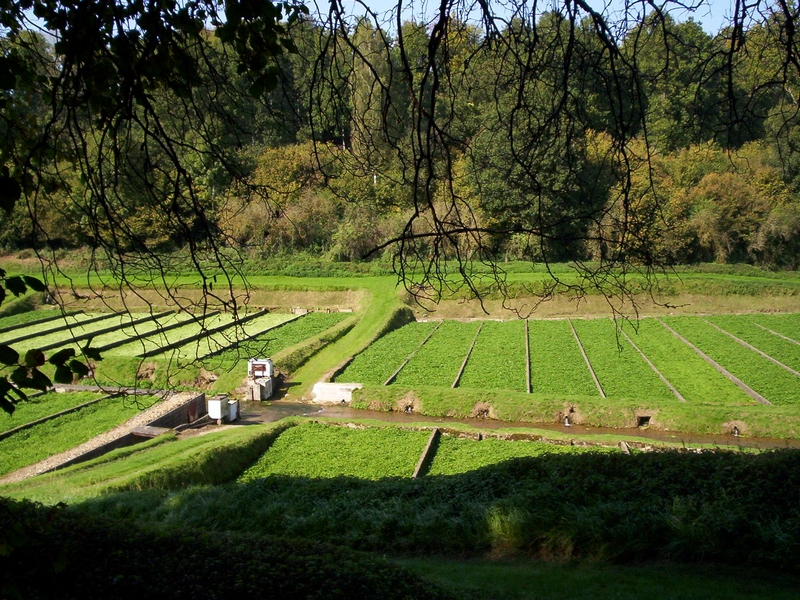 LA FOLLETIERE ABENON : Le retour aux sources - 12,8KM, La Folletière-Abenon - photo 3