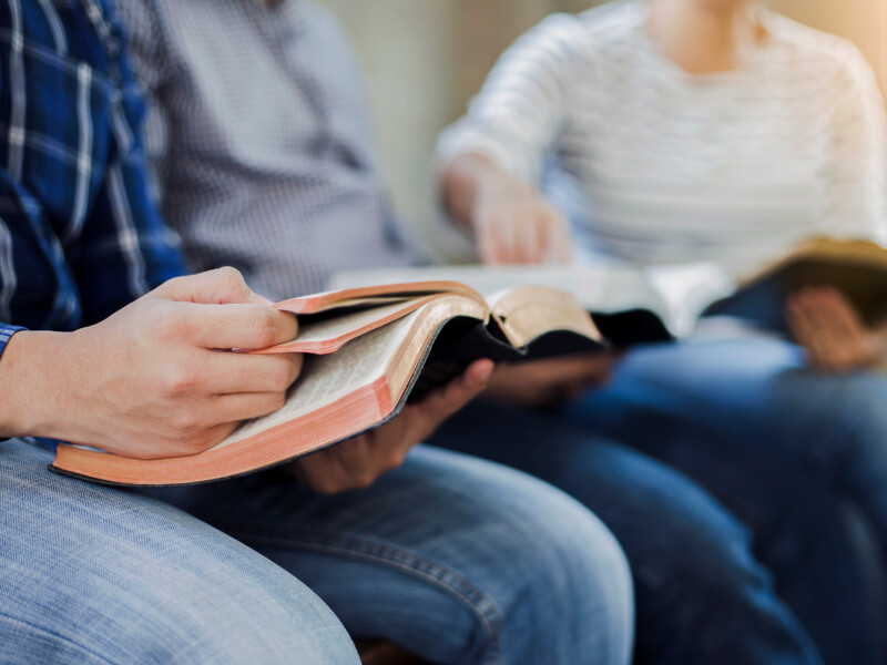 Ado & Libraire : partage de lecture