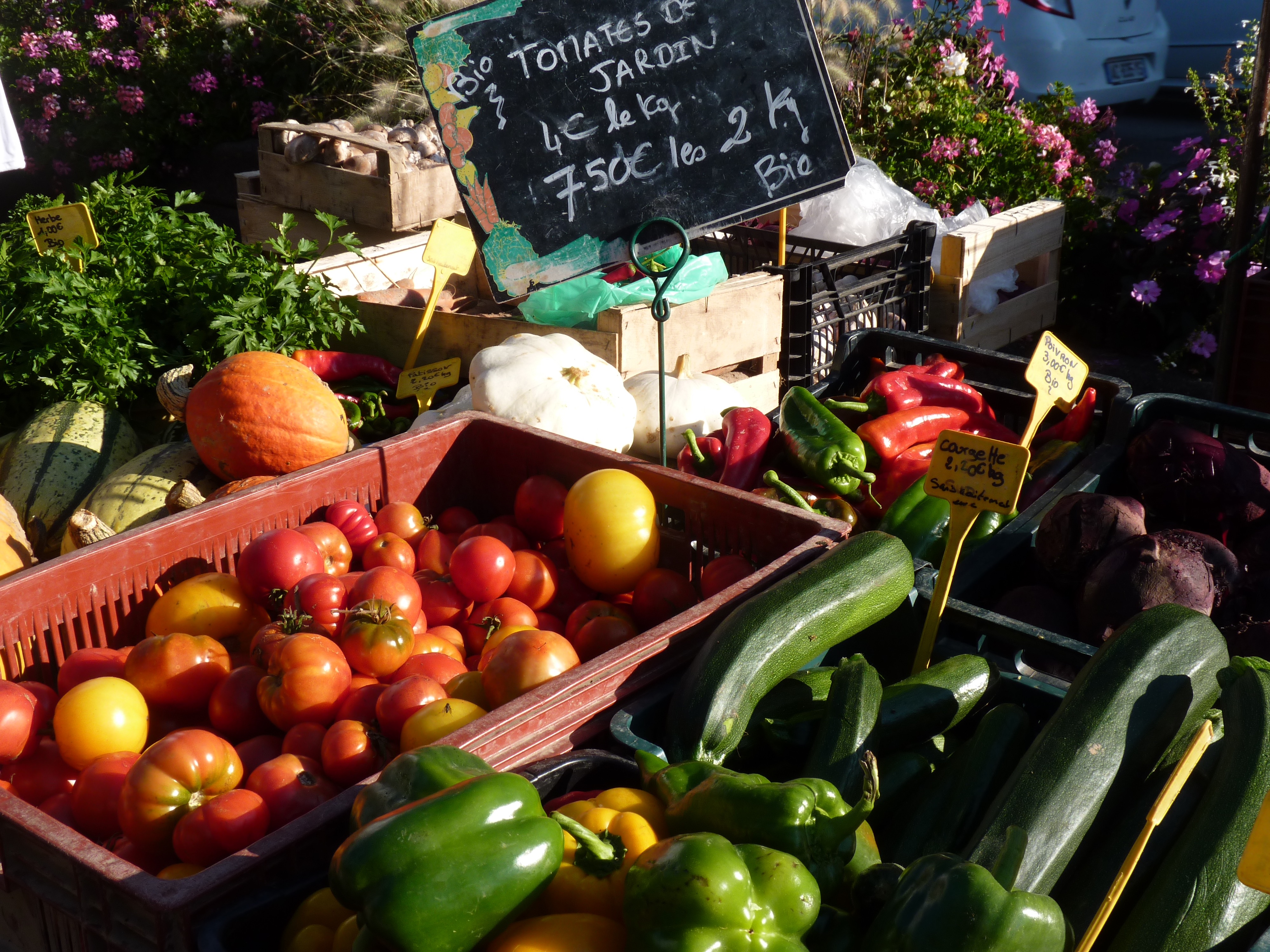 Marché éco-responsable et pêcheurs