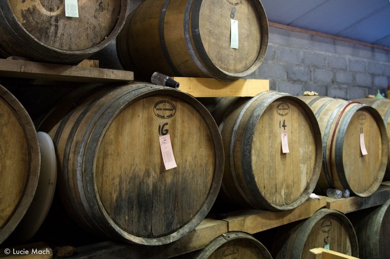 Cidre fermier Lemasson, Cametours - photo 5