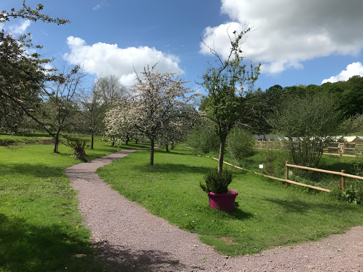 Le Verger de Roncheville et son parc animalier, Bavent - photo 6