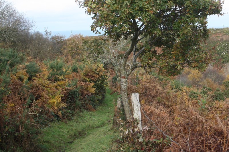Chemins entre Ciel et Mer, Digosville - photo 2