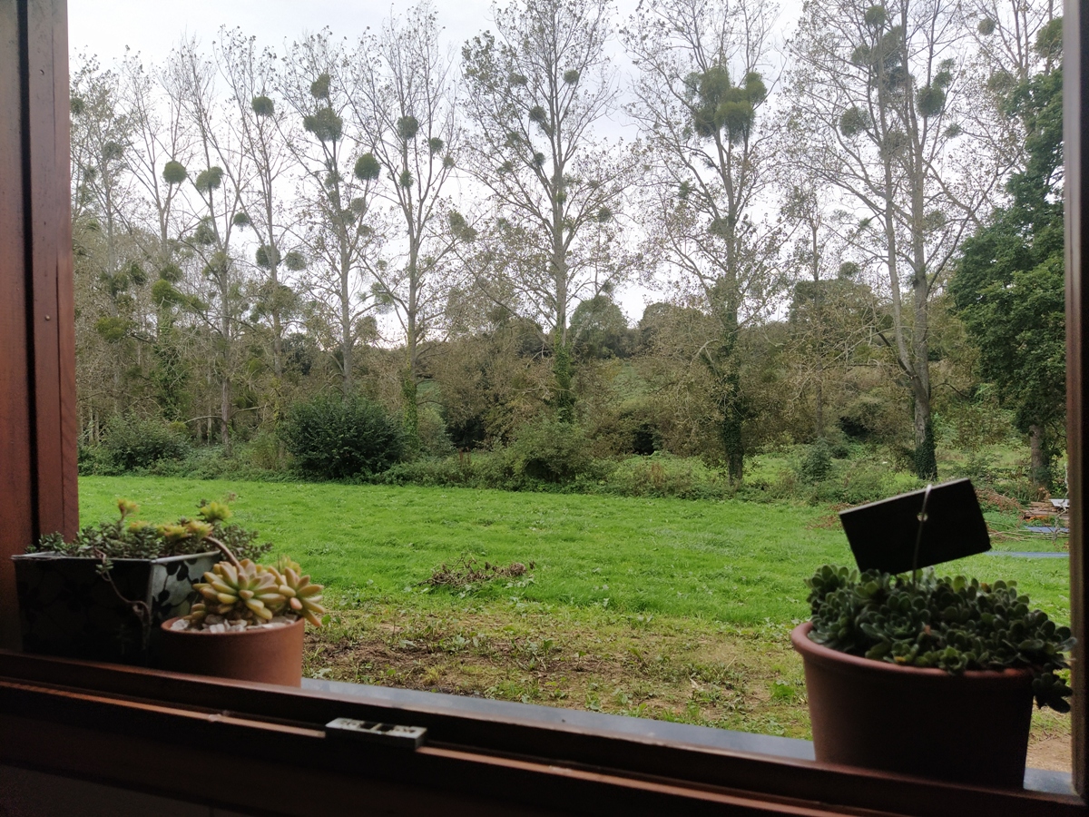 Meublé de tourisme > La Cabane Nature, Les Moitiers-d'Allonne - photo 11