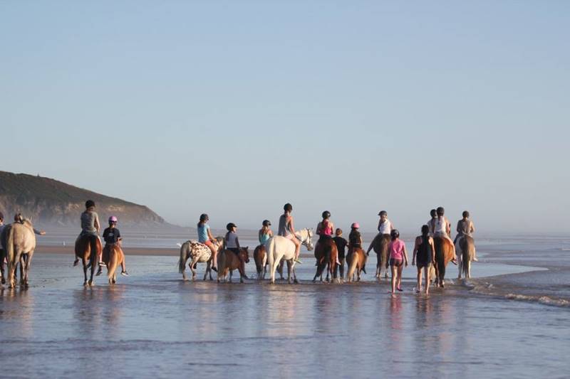 Complexe Hippique des Pieux, Les Pieux