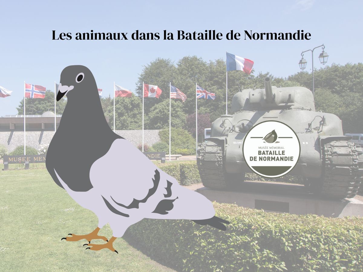 Vacances d'automne au musée — visuel événement