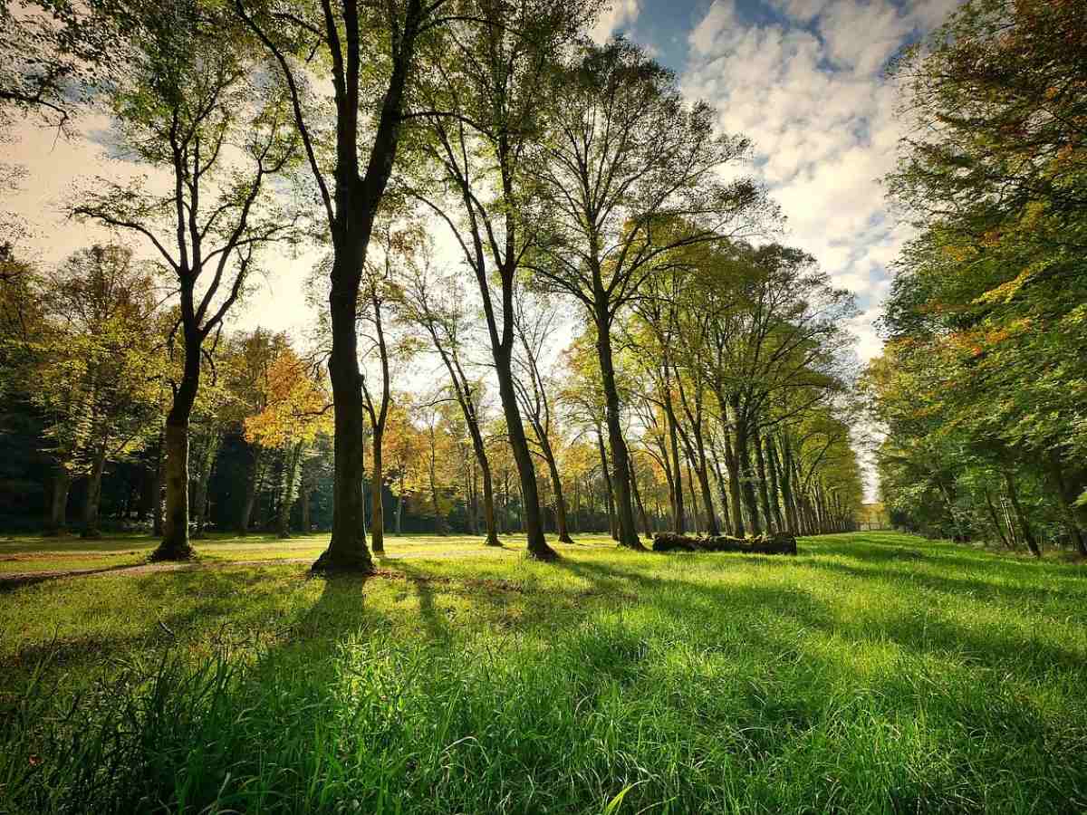 Vivre avec la nature