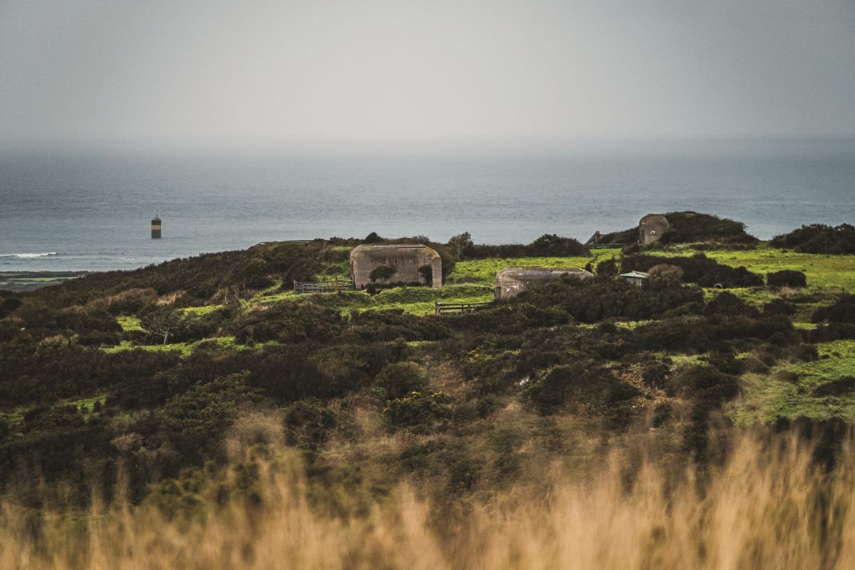 Randonnée commentée : les chemins de la Liberté