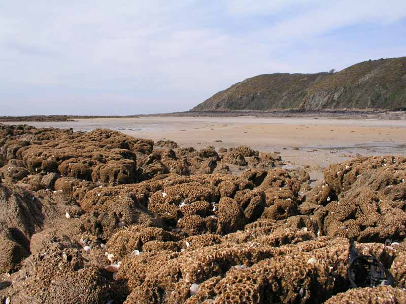 Parcours nautique n° 1 - Les Falaises de Champeaux, Saint-Jean-le-Thomas - photo 3