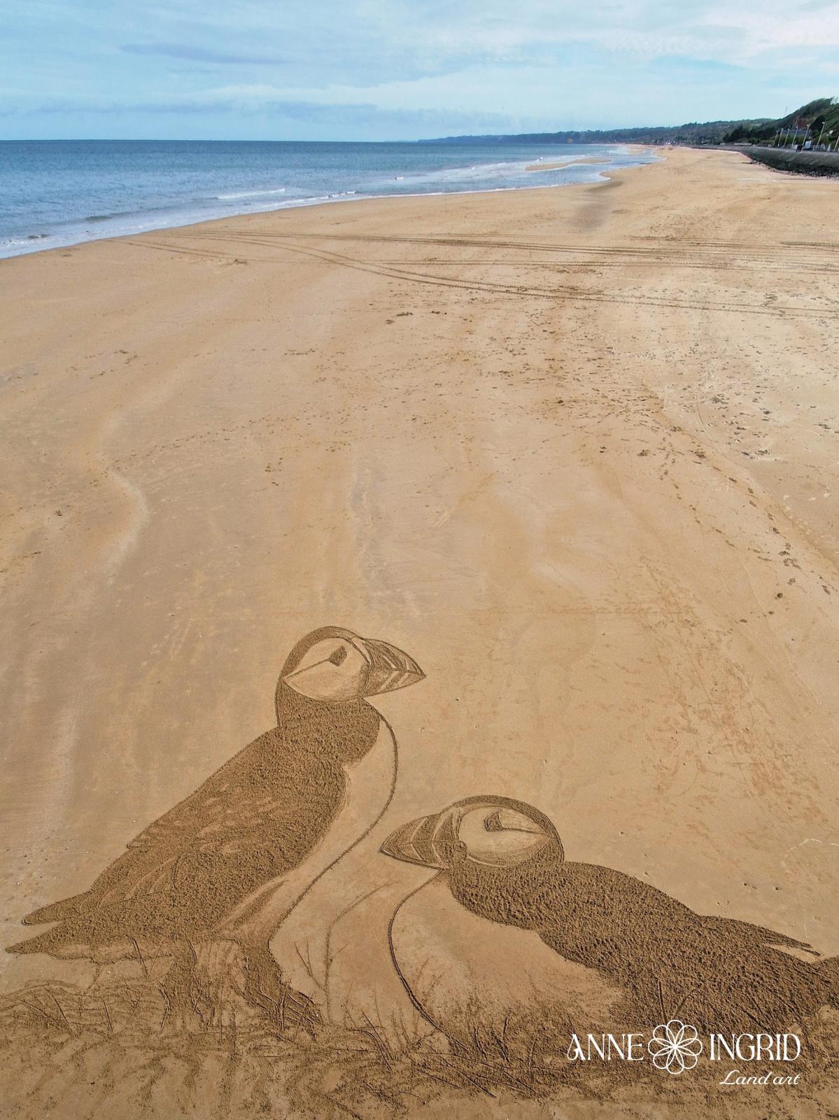 Exposition - Beach art & Land art, Port-en-Bessin-Huppain - photo 2
