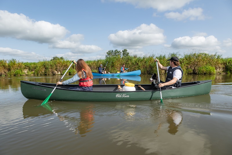 Sortie guidée en canoë