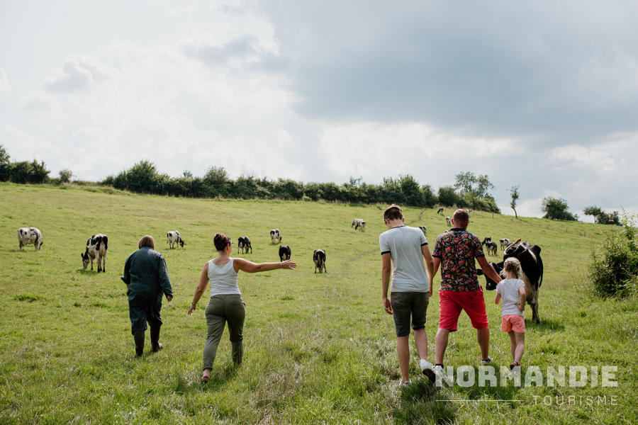 Visite d'une ferme en famille - La vache de Louvicamp