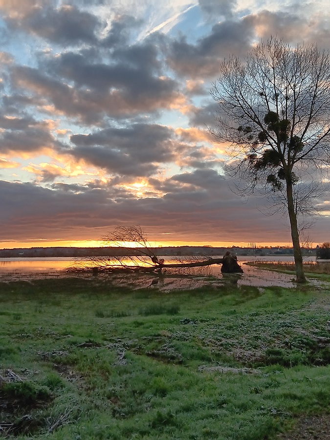 Les marais blancs de Carentan